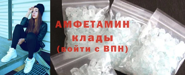 дурь Няндома