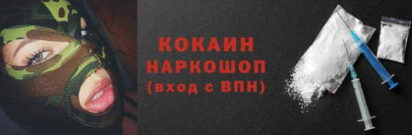 дурь Няндома