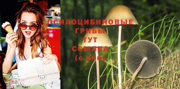 2c-b Нягань
