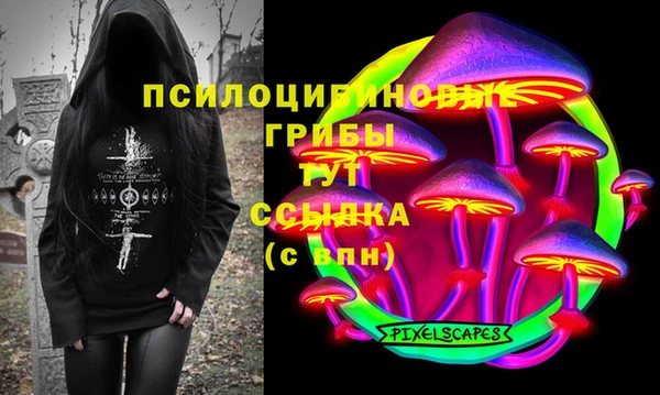 соль ск Нязепетровск