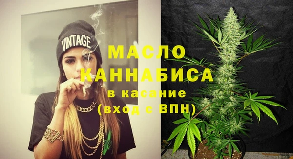 дурь Няндома