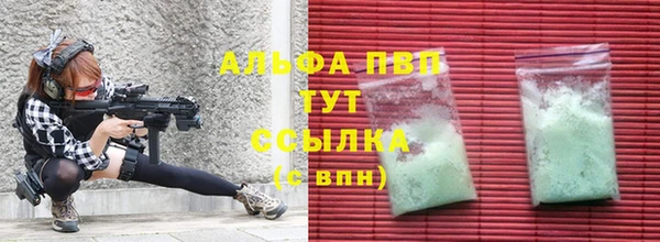 дурь Няндома