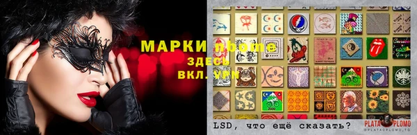 дурь Няндома