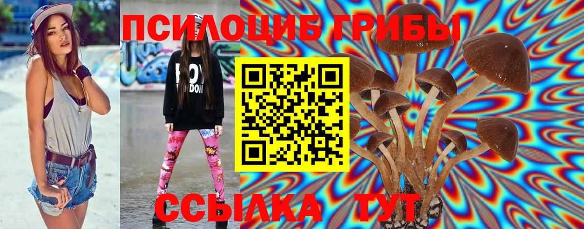 Калуга  Галлюциногенные грибы Psilocybe  Псилоцибиновые грибы MAGIC MUSHROOMS  Вход с VPN 